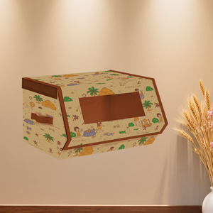 Shoe Storage Box with clear window